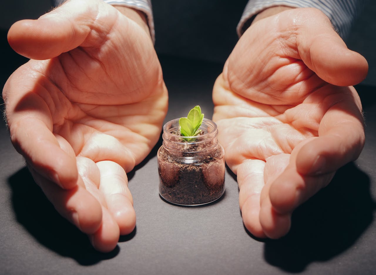 services-02 Hands gently cradle a small plant in a jar, symbolizing care and growth.