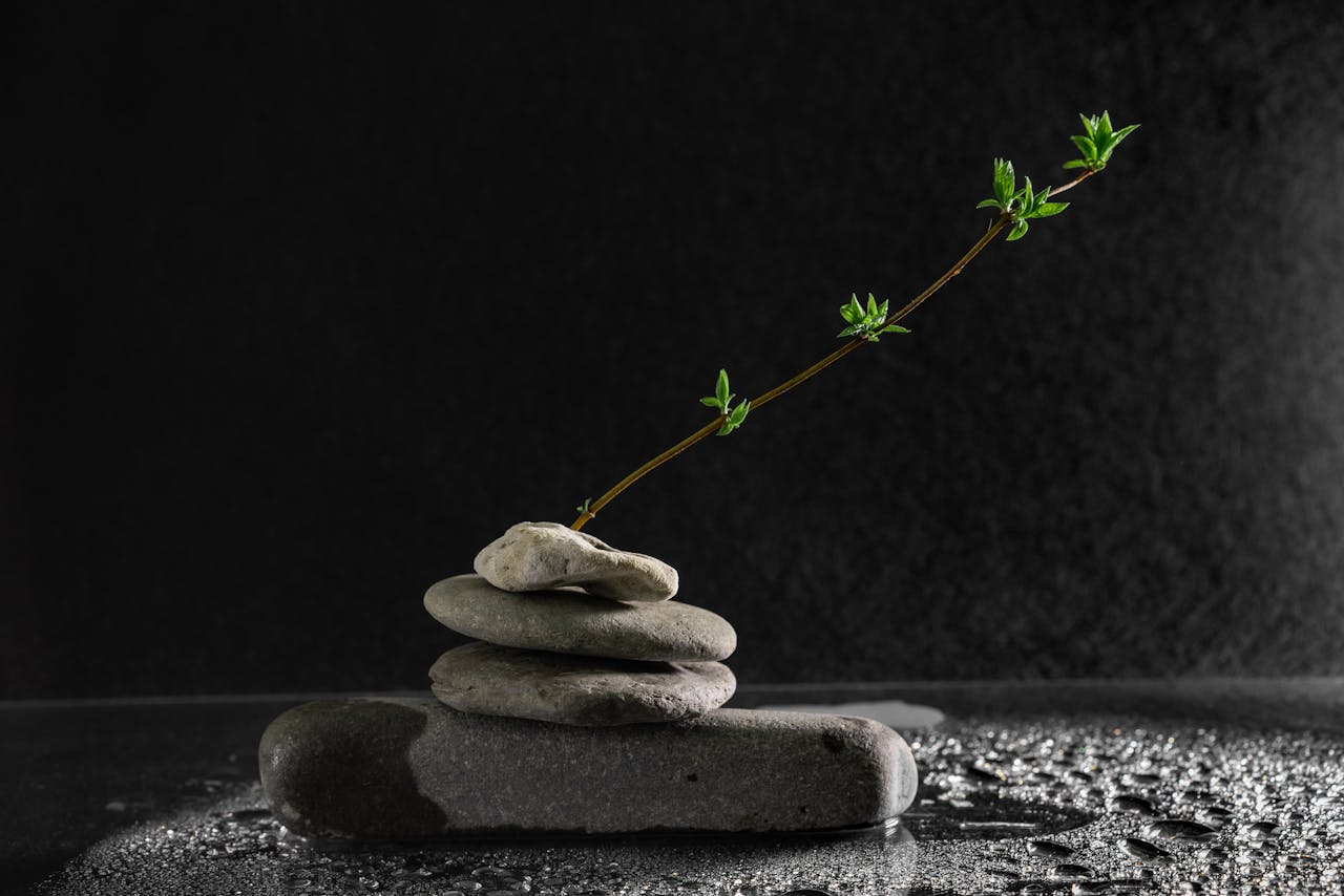 services-01 A serene still life of balanced stones and a stem with leaves on a dark, wet surface.